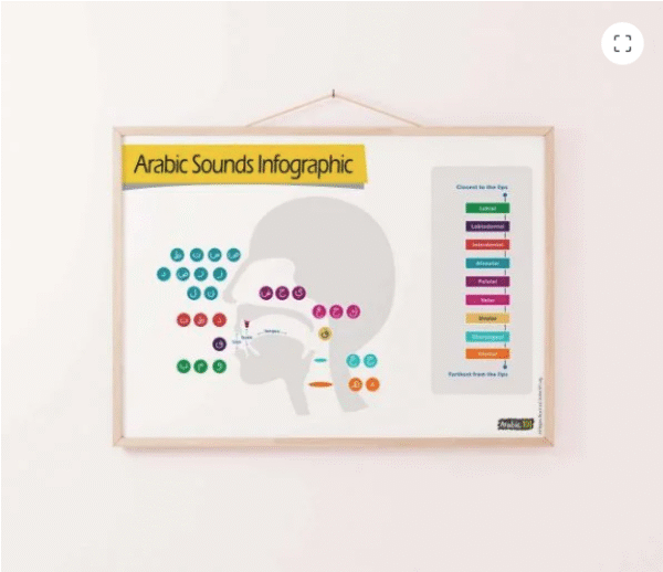 Arabic Letters Sound Articulation Poster